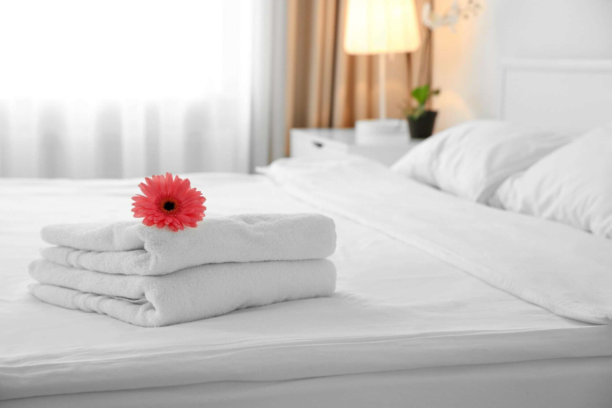 Signature Suites Peterborough Esterno foto